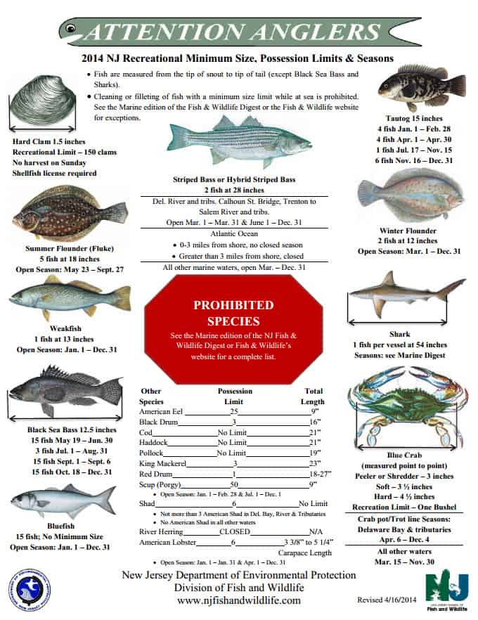 Nj Saltwater Fishing Regulations 2021 New Jersey Division of Fish