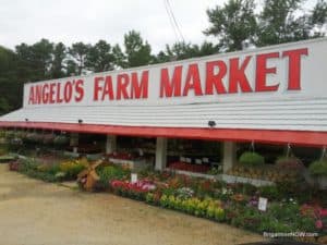 Angelo's Farm Market, New Jersey