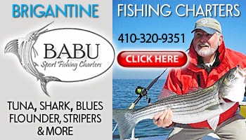 Striper Fishing Brigantine